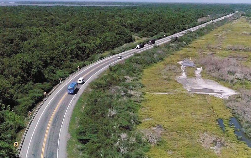 Tramo de la vía Ciénaga - Barranquilla sobre el Parque Nacional Natural Vía Isla de Salamanca. / Óscar Güesguán