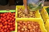 El agro pasó al frente: así reactivó la economía en el primer trimestre de 2025