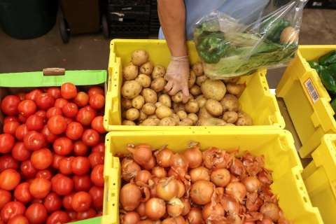 El agro pasó al frente: así reactivó la economía en el primer trimestre de 2025