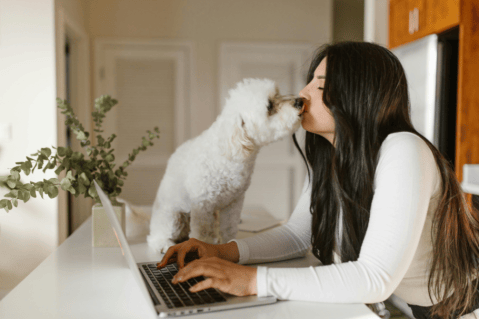 Errores comunes que comete con su perro y quizá no sabía