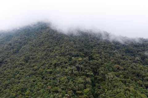 Páramos Macizo: el proyecto para proteger los páramos de la estrella fluvial colombiana
