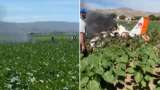 Accidente aéreo en Turquía: dos pilotos militares fallecieron