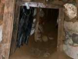 Video: El túnel que hicieron para intentar robar un banco en Yolombó, Antioquia