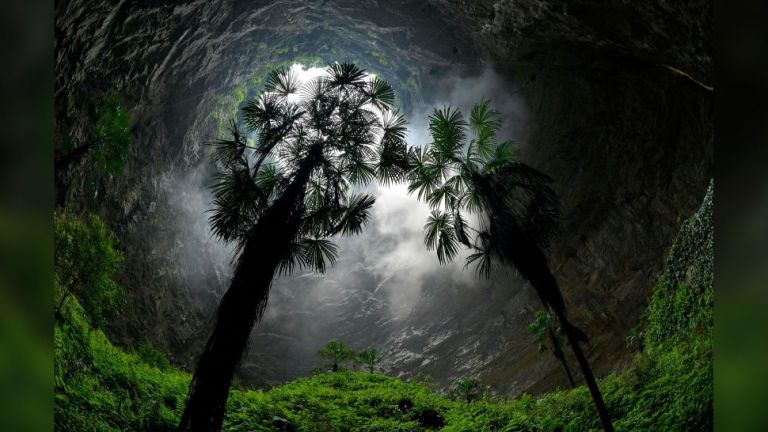 El “hueco” que descubrieron en China y que podría esconder especies no conocidas