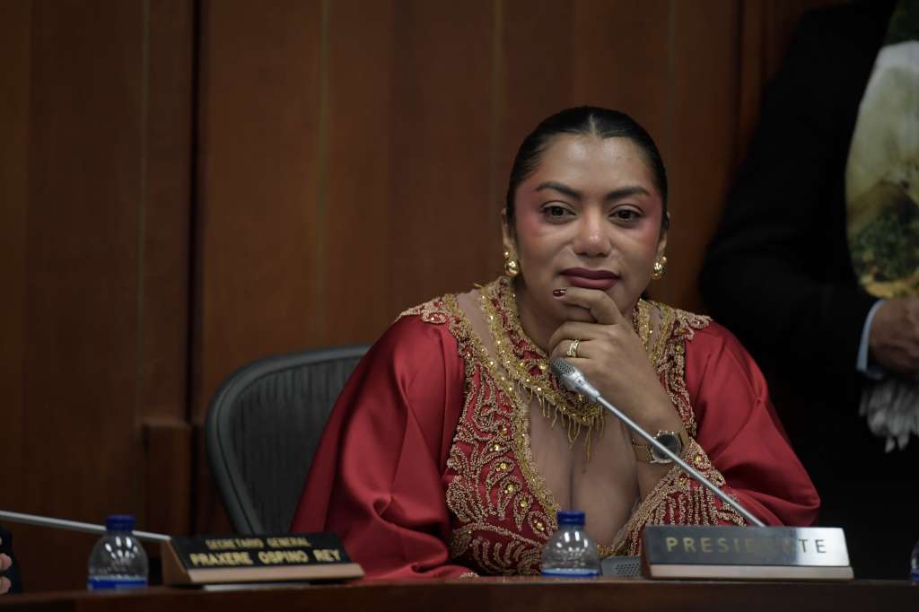 Senadora, durante el debate de la reforma a la salud en la Comisión Séptima del Senado.