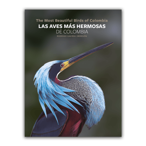 ¿Cuáles son las aves más hermosas de Colombia?