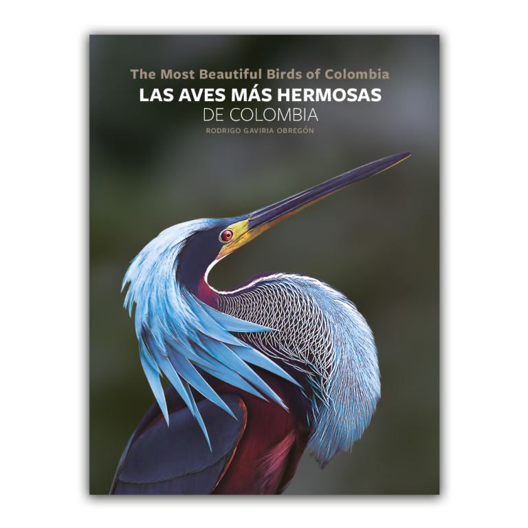 ¿Cuáles son las aves más hermosas de Colombia?