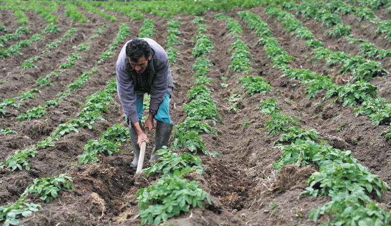 El Gobierno atribuye el resultado a la reforma agraria y al impulso productivo, aunque persiste la informalidad en más de la mitad de los trabajadores.