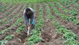 Gobierno establece nueva Zona de Reserva Campesina en Santa Rosa, Cauca