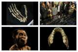 Así es Homo Naledi, el primo lejano del hombre