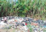 Nuquí y Tribugá, los paraísos del Pacífico que se ahogan en basura