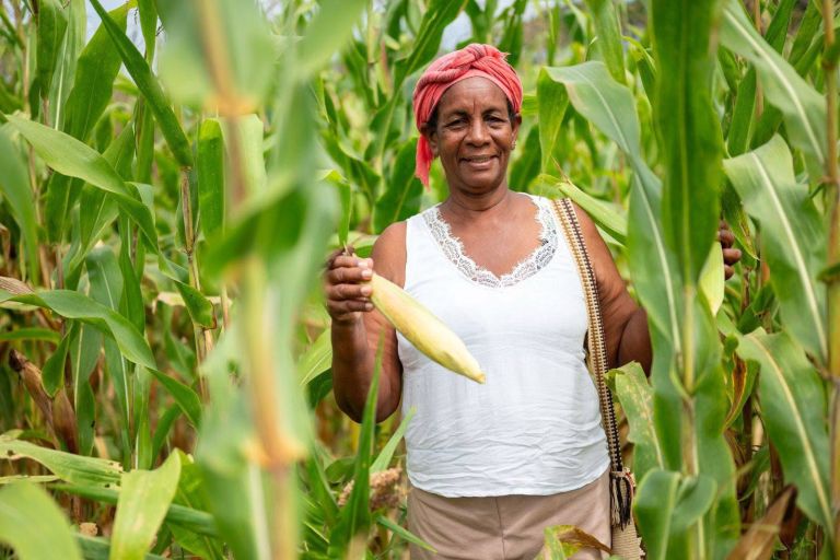 Mujer Rural: Las 112.000 hectáreas que cierran brechas de género en el campo