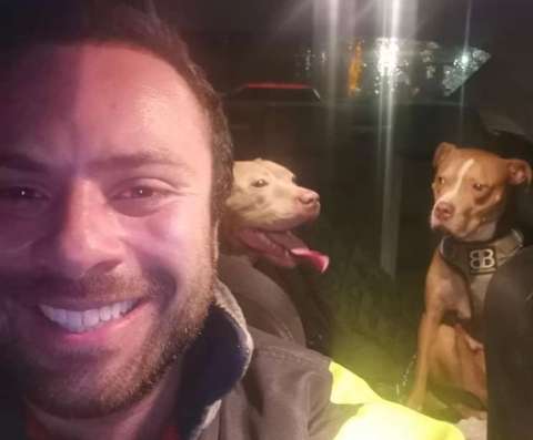 Hombre realojó perros XL Bully antes de que entrara en vigor su prohibición en Inglaterra