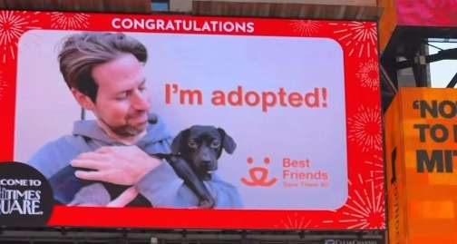 Pantallas gigantes de Times Square celebran la adopción de una perrita