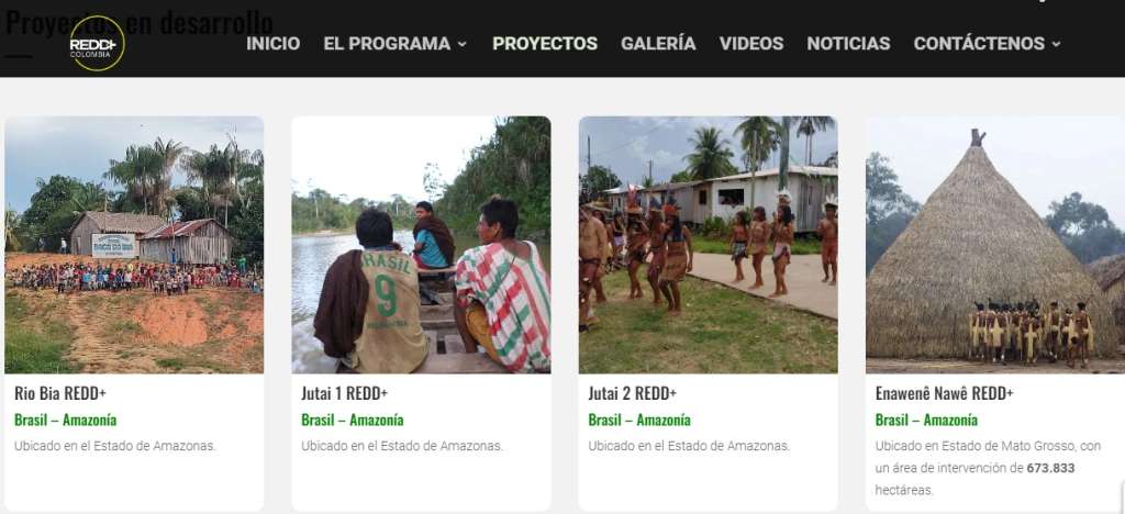 Proyectos de carbono en tierras indígenas de Brasil. Reproducción/Community Redd+.