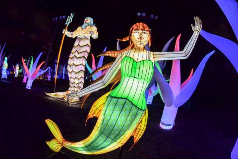 Inicia el Festival de luces Brilla en Bogotá