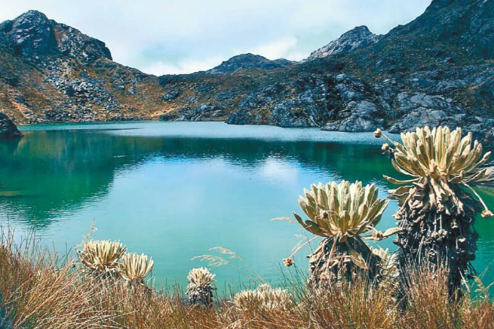 En el país hay 391 municipios con riesgo de desabastecimiento de agua, la gran mayoría ubicados en Santander que depende de Santurbán para su abastecimiento hídrico. / Archivo El Espectador
