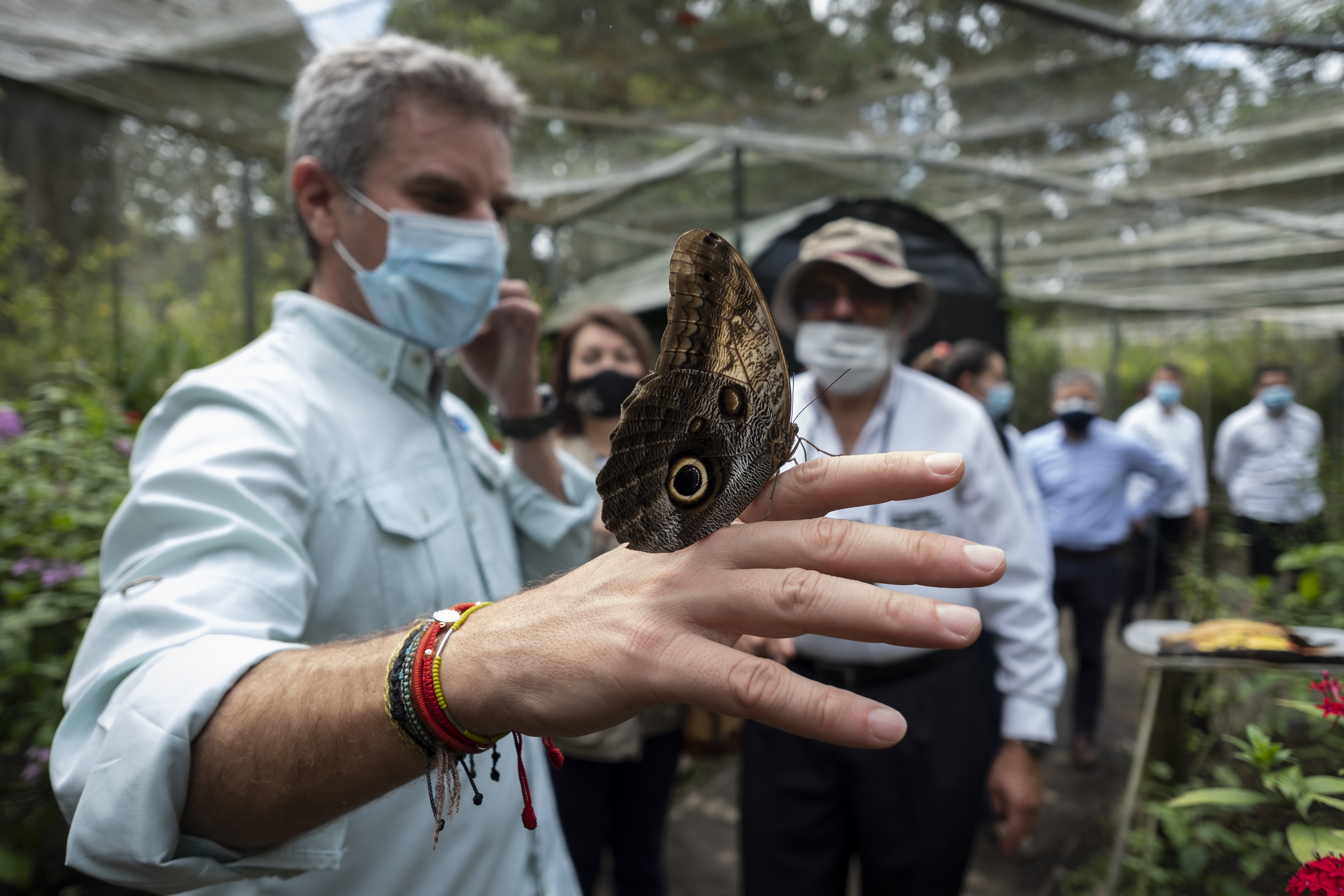 En lo corrido de 2021 en el país se han liberado 7660 individuos de 290 especies.