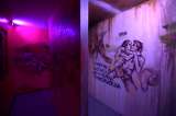 Donde la memoria salió del clóset: el museo que preserva las luchas de la diversidad