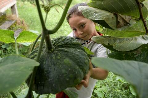 La educación escolar a través de la naturaleza y la literatura