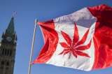 Canadá se convierte oficialmente en el segundo país del mundo en legalizar la marihuana