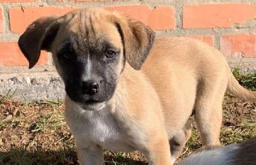 Su vida cambió por completo: perdió su hogar, su rutina y la seguridad que creía haber encontrado.