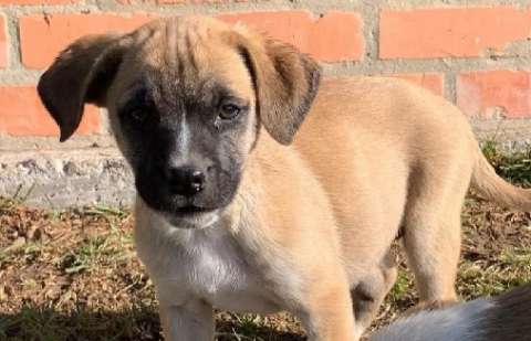 Mariana fue adoptada y devuelta a la fundación tras dos años: este fue su triste cambio
