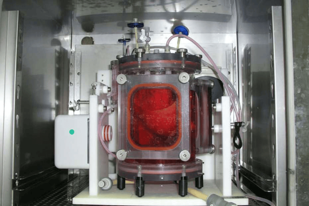 Pulmones artificiales de cerdo en un biorreactor 
 / Joan Nichols / Science Translational Medicine 