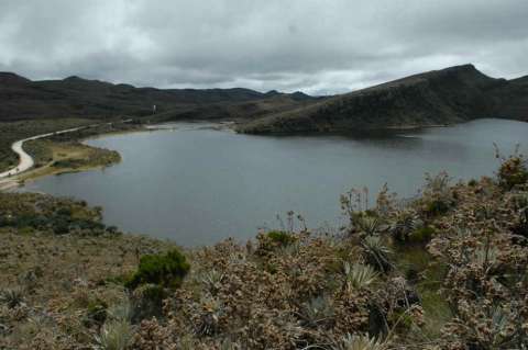 Minambiente alista política de delimitación y conservación de páramos