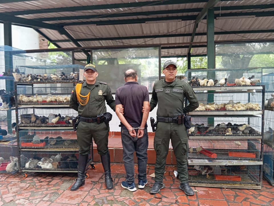 Un hombre fue capturado por incurrir en presuntos actos de maltrato y tráfico ilegal de fauna.