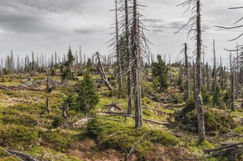 La economía le falló a la naturaleza y se volvió en un riesgo extremo para el mundo
