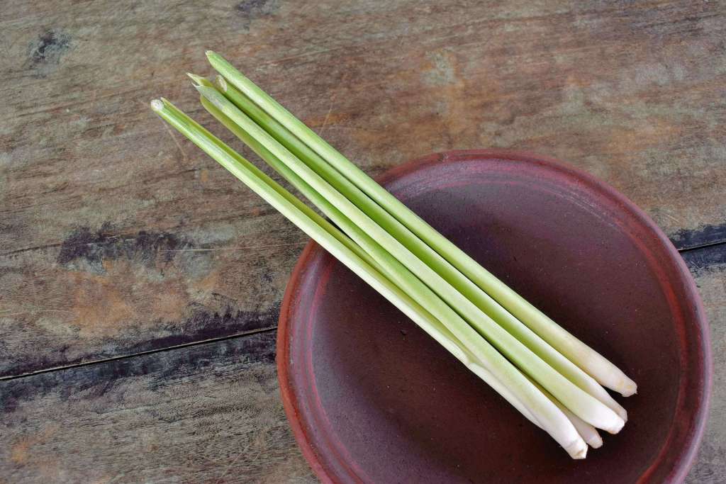Imagen de unas hojas de limonaria encima de un tazón puesto sobre un mezón de cocina.