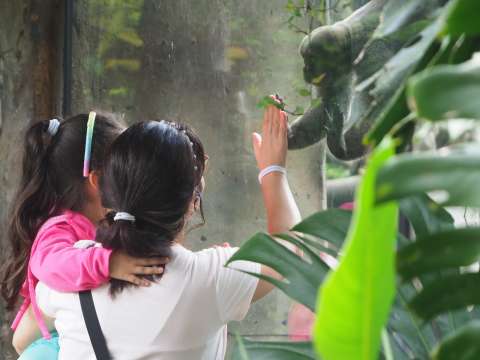 De exhibición a conservación: así se transformó el antiguo Zoológico de Medellín