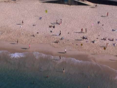 Tiburón mató a bañista en Sídney, Australia