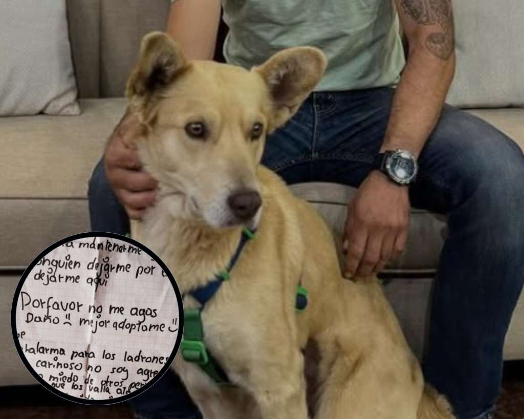 Yogui fue abandonado con una suplica conmovedora: “No me hagas daño, adóptame”