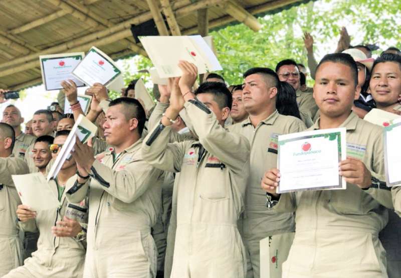 Durante tres meses, excombatientes de las Farc se capacitaron como técnicos agrícolas, gracias a la iniciativa de Panaca, la Agencia para la Reincorporación y Normalización (ARN), la Agencia de Desarrollo Rural, el Ministerio de Agricultura y el fondo Colombia en Paz. / El Espectador