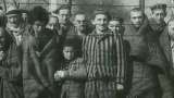 Conmemoración del Holocausto: un llamado a la lucha contra el negacionismo