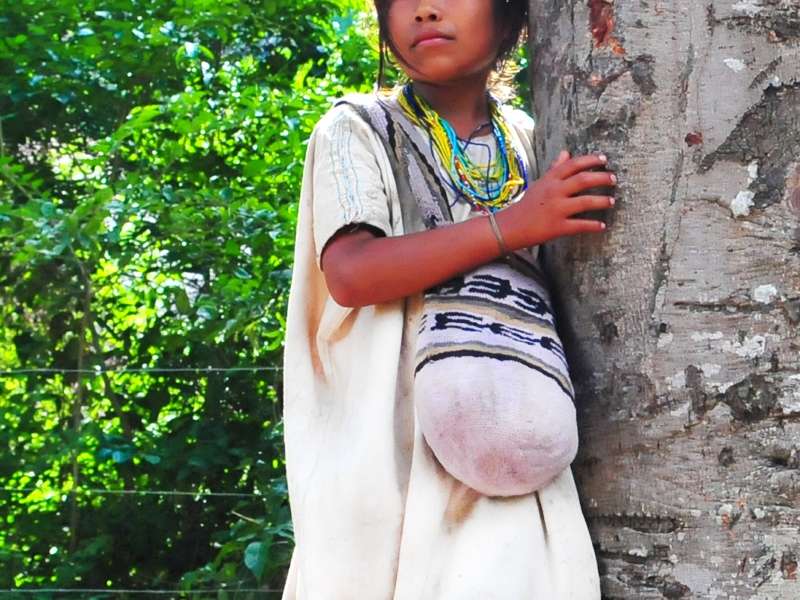 La niña kankuama de 12 años está ahora bajo la tutela del ICBF / Imágen de referencia - Nelson Sierra G.