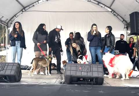 Feria Canina Parque de la Sal cumplió su objetivo: ayudar a refugios de animales