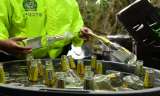 Ojo con lo que toma: detectan fábrica clandestina de cerveza adulterada en Soacha