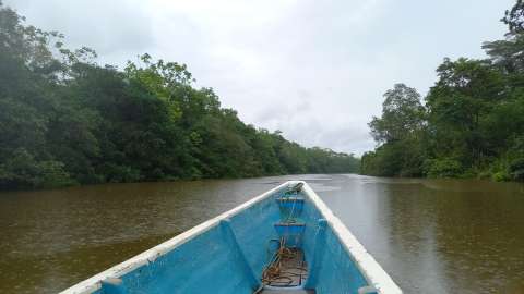 Cuatro países quieren unirse para cuidar el río Putumayo