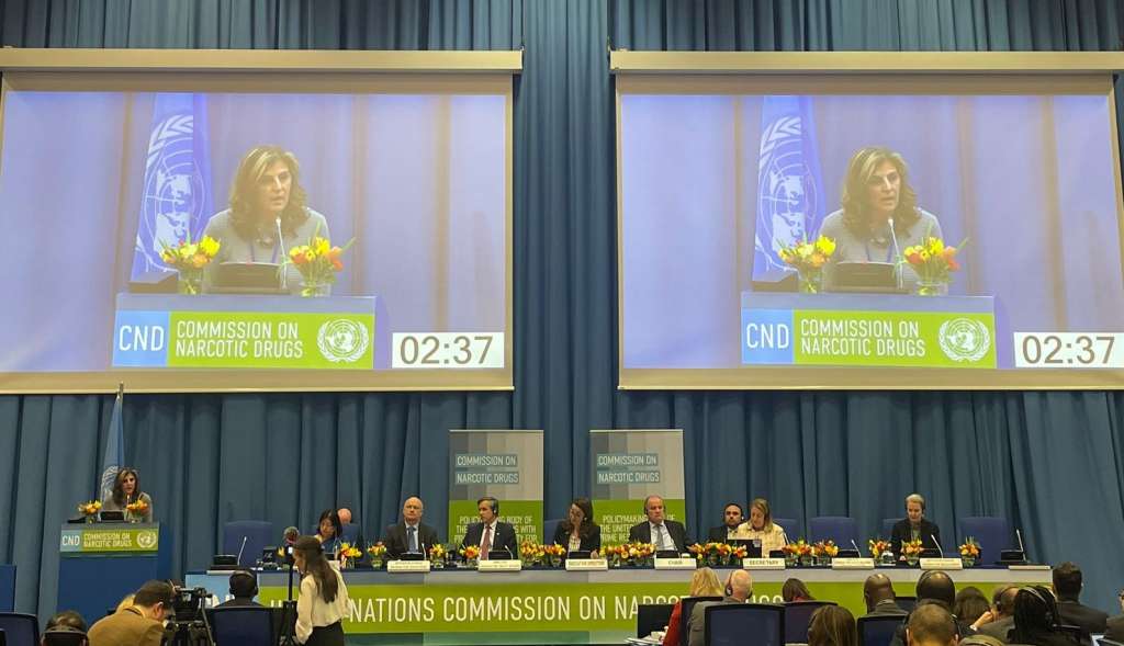 Laura Gil en la ONU