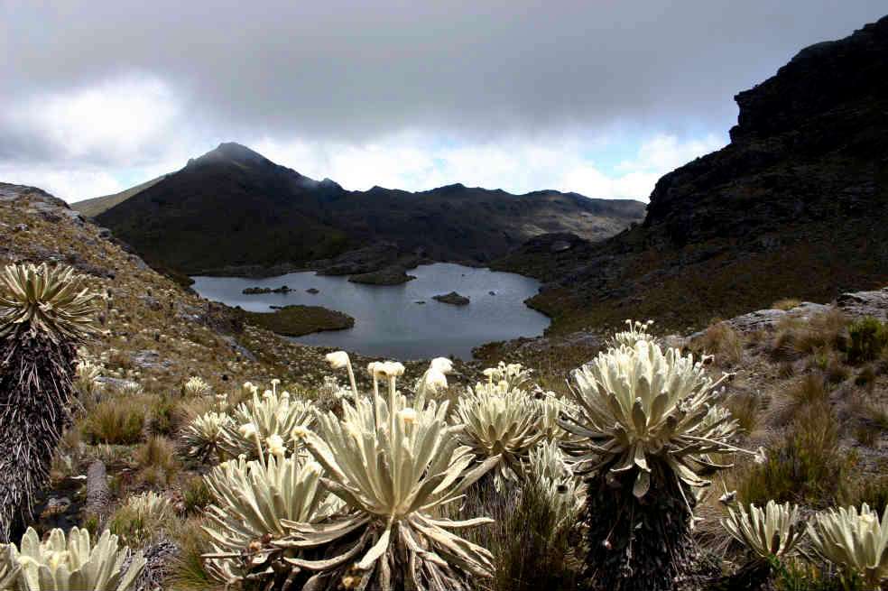 Con la reforma al Código Minero está en juego la minería en ecosistemas como el páramo de Santurbán. /Archivo