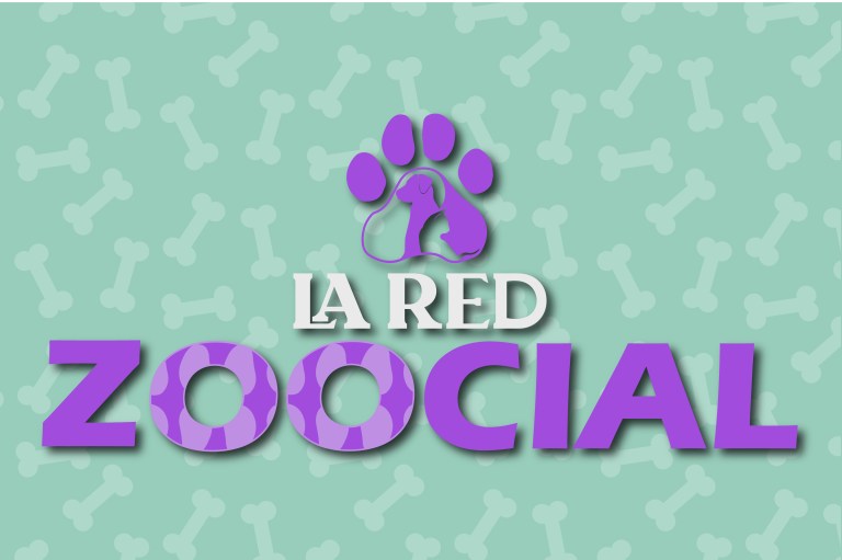 Sígannos en nuestras redes sociales para conocer más.
