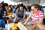 Lanzan asistente gratis para damnificados del terremoto: así puede utilizarlo