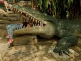 "Meteorito": el cine colombiano regresa a la Hacienda Nápoles de Escobar en Venecia