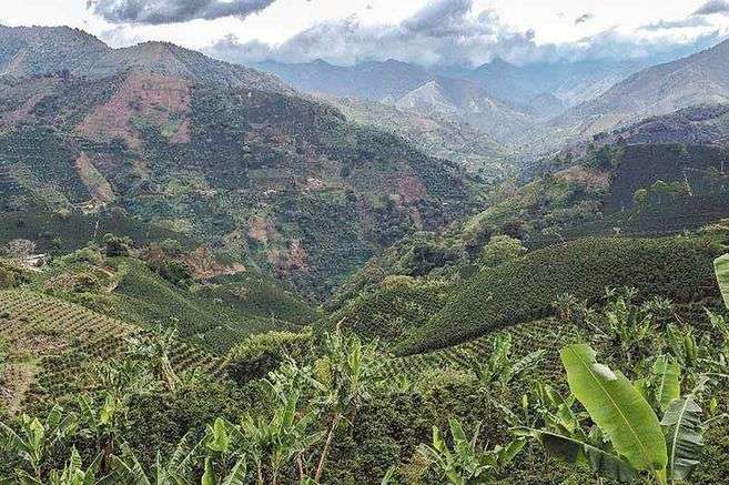 Antioquia
