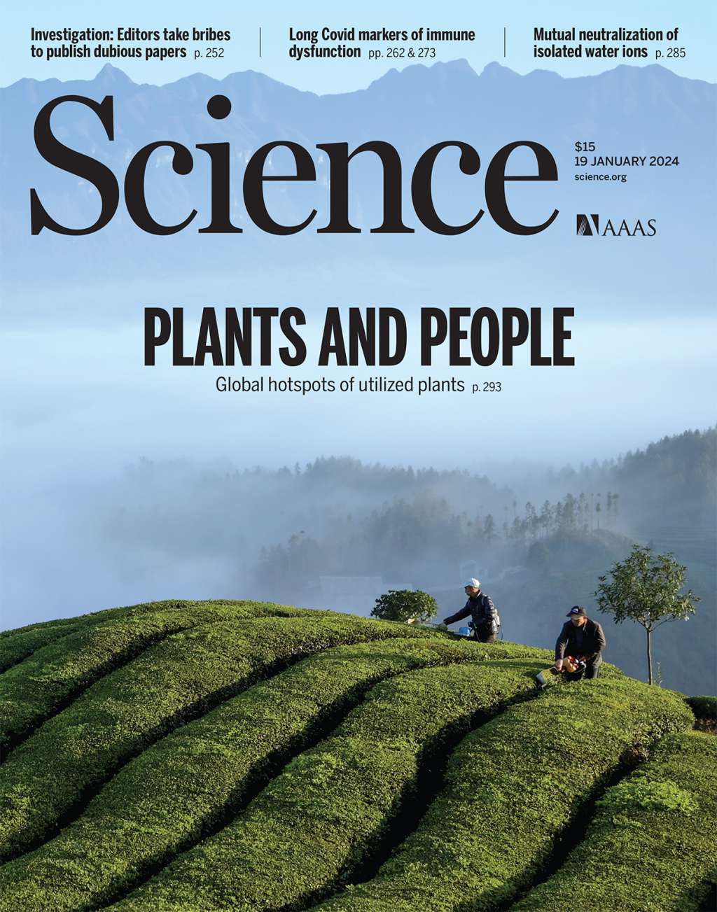 Esta es la portada de la revista Science de enero de 2024.