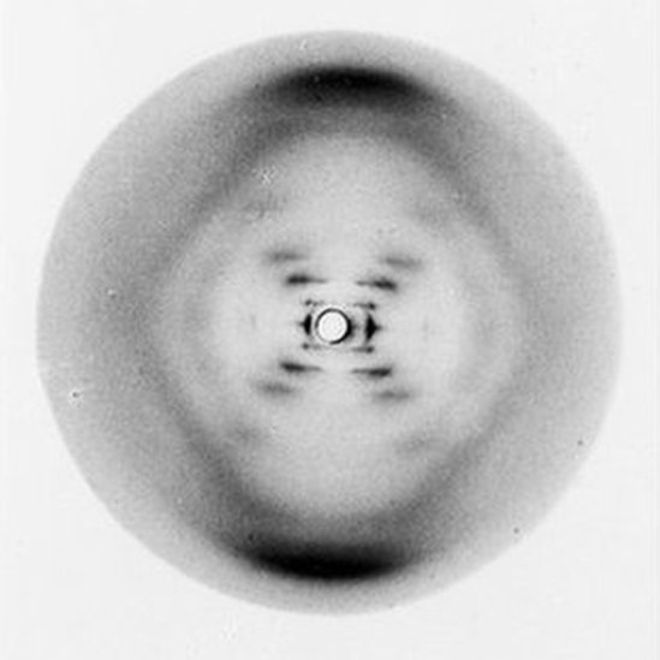 La "foto 51", tomada por Rosalind Franklin en 1952King's College ArchiveAntes de que esta mujer lograra esta hazaña, que sentaría las bases para el entendimiento de la genética actual, varios científicos en diversas universidades se rompían la cabeza tratando de entender cómo podría estar organizada una estructura tan importante como el ADN. Cuando Franklin le mostró la foto a sucolegaMaurice Wilkins, él fue corriendo a enseñarselo aJames Watson, en Cambridge, quien también estaba tras la estructura de la molecula.