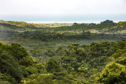 ¿Qué pasó con el dinero prometido a los indígenas para proteger los bosques?